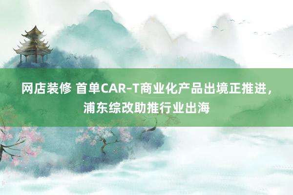 网店装修 首单CAR–T商业化产品出境正推进，浦东综改助推行业出海