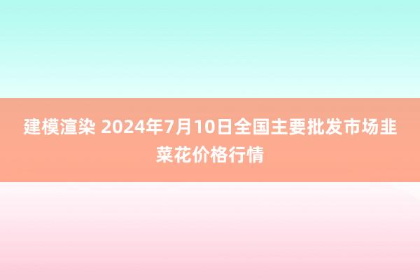 建模渲染 2024年7月10日全国主要批发市场韭菜花价格行情