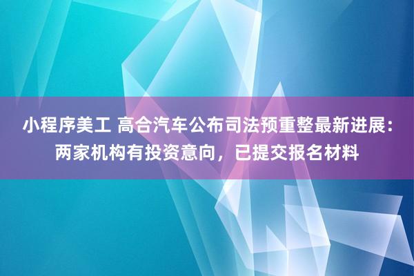 小程序美工 高合汽车公布司法预重整最新进展：两家机构有投资意向，已提交报名材料