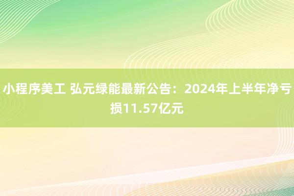 小程序美工 弘元绿能最新公告：2024年上半年净亏损11.57亿元